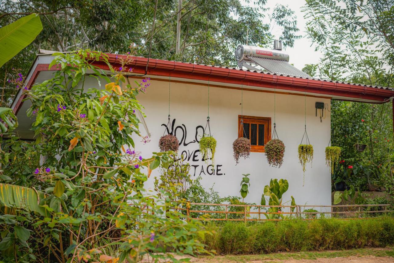 " Yolo " Lovely Cottage Ella Exterior photo